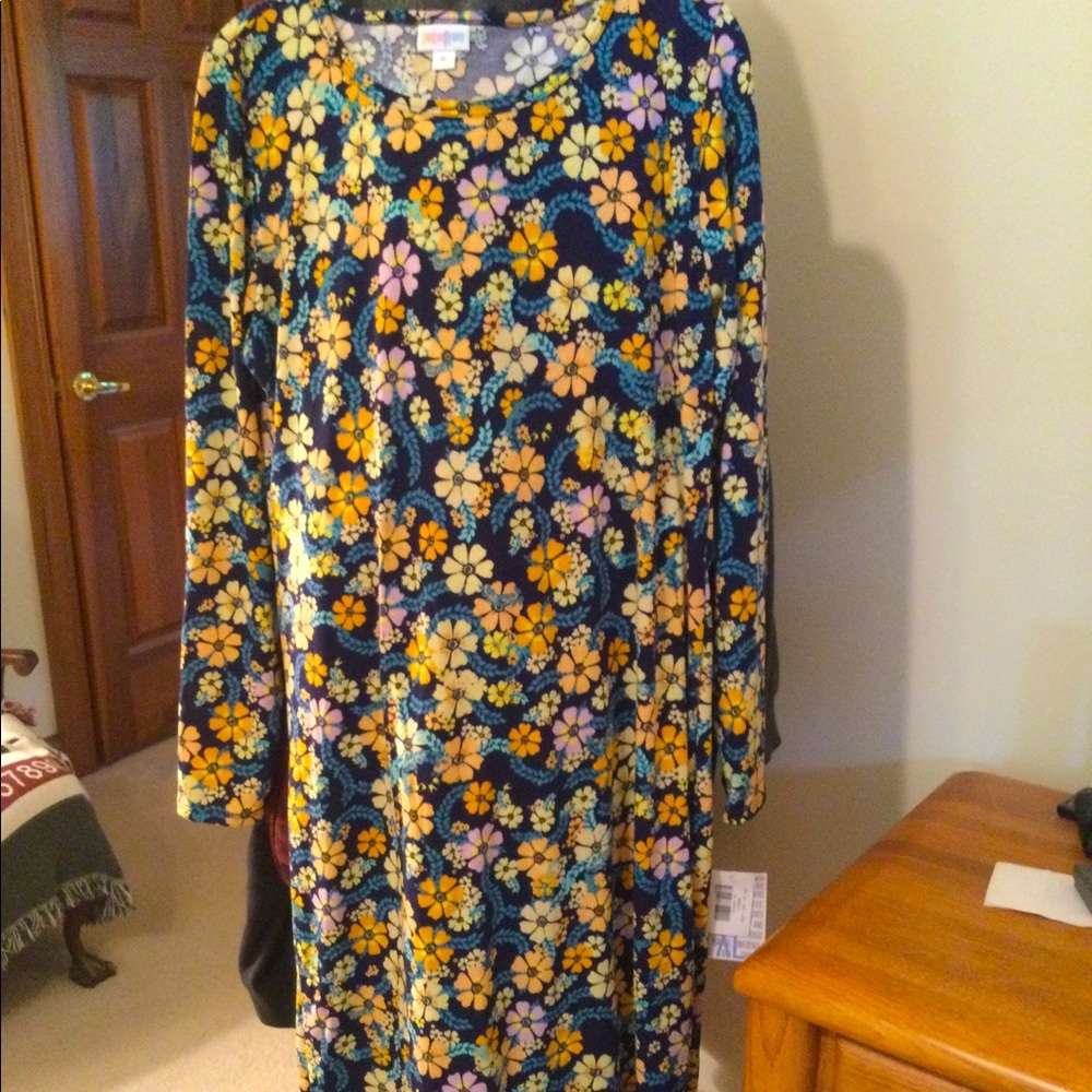 Lularoe Debbie XL floral dress